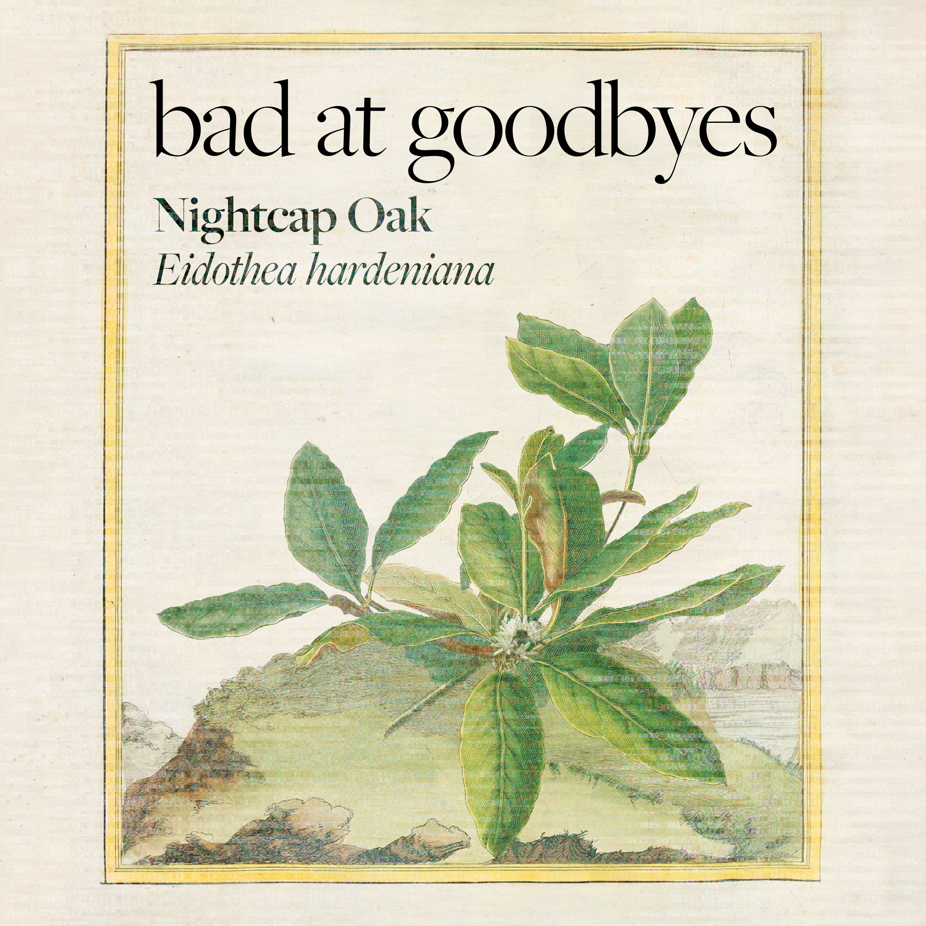 Bad at Goodbyes