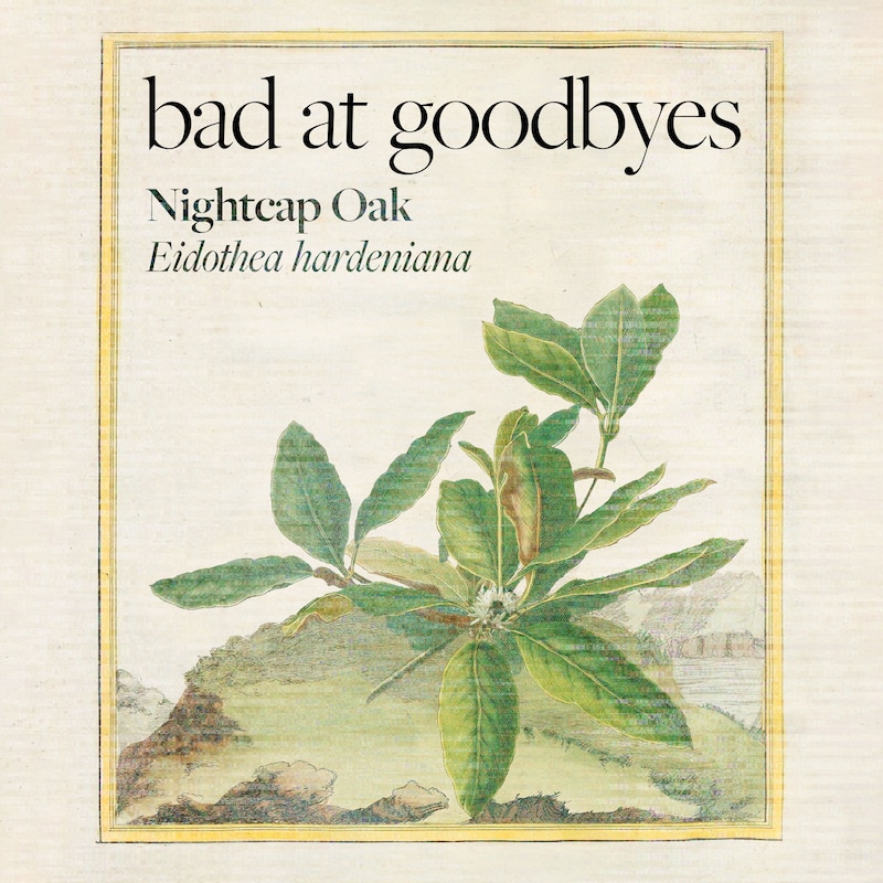 Artwork for podcast Bad at Goodbyes