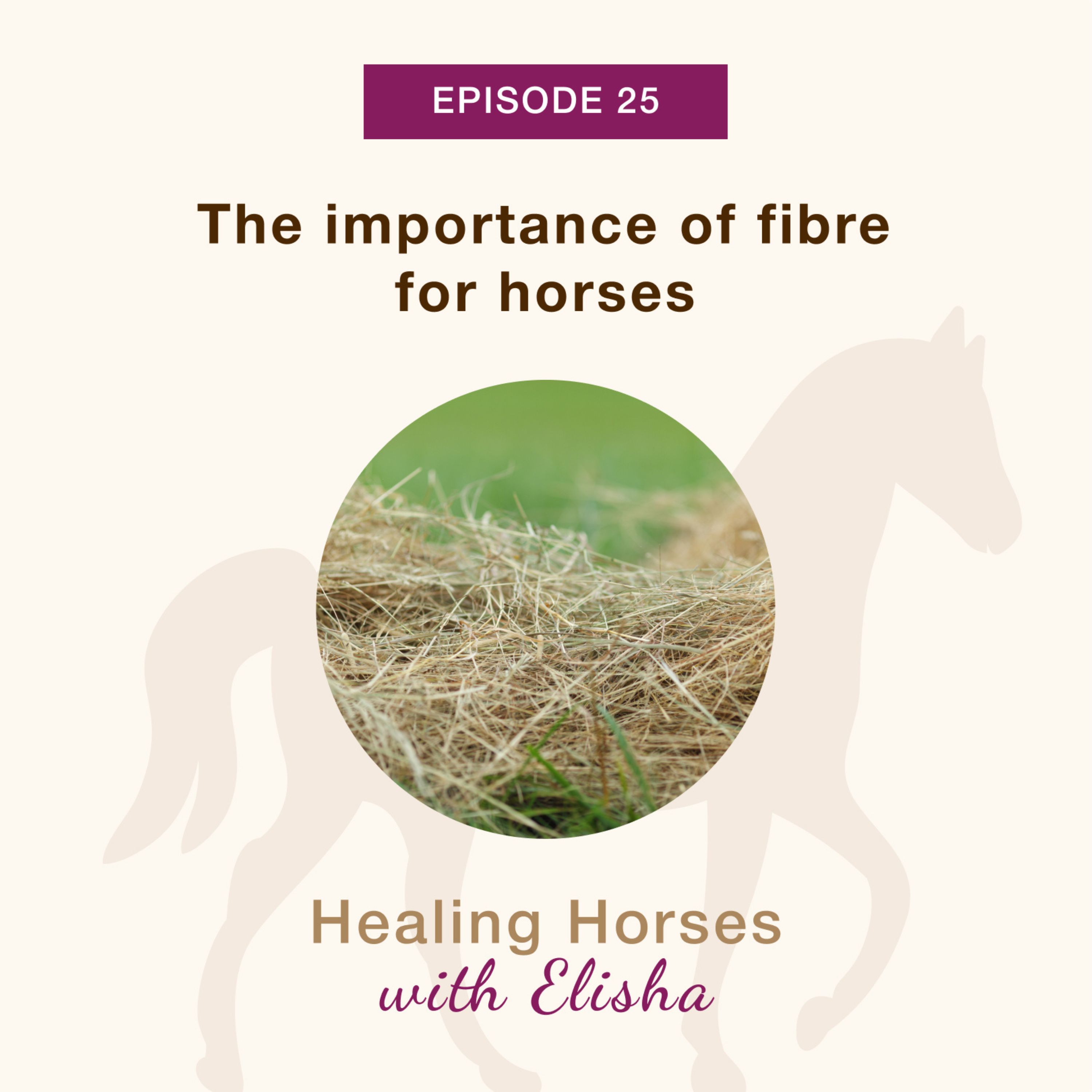 Healing Horses with Elisha