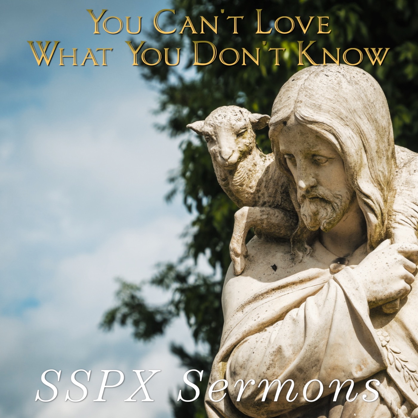 You Can't Love What You Don't Know - SSPX Sermons