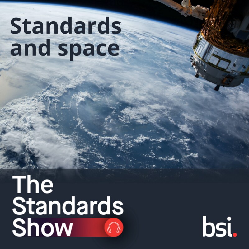 Artwork for podcast The Standards Show