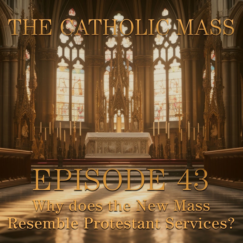 Artwork for podcast SSPX Podcast