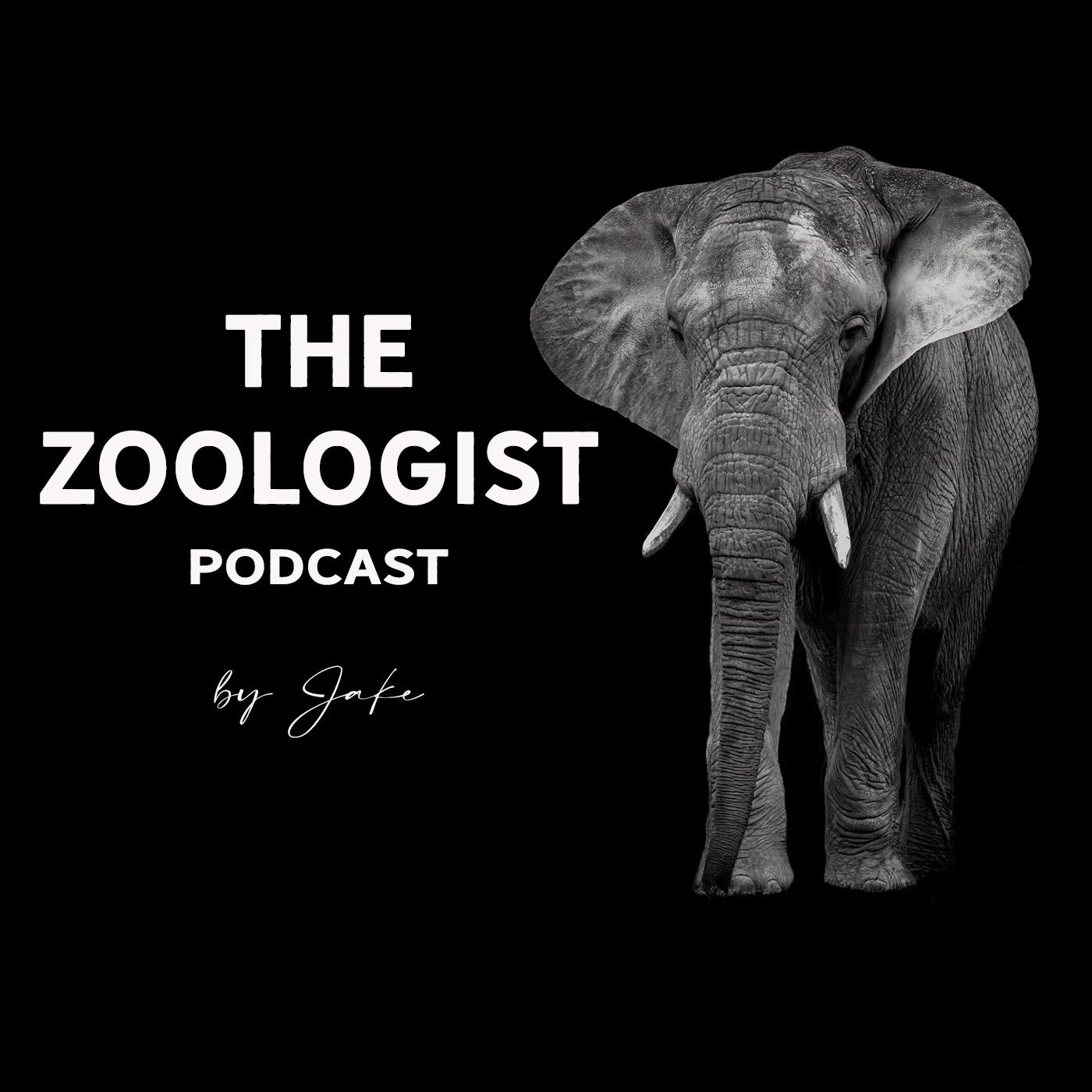 The Zoologist
