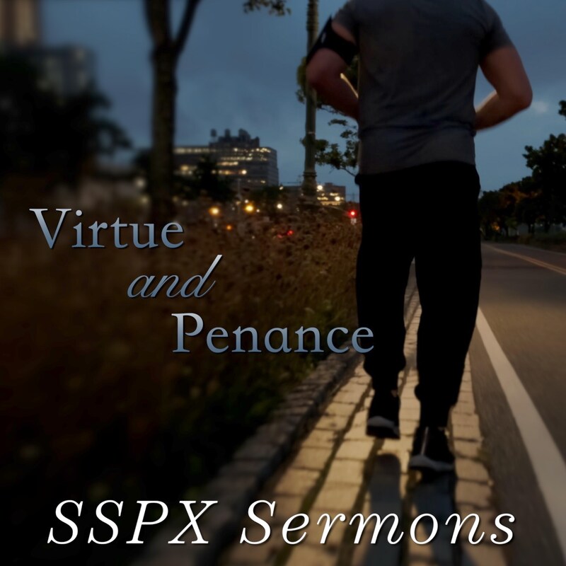 Artwork for podcast SSPX Sermons