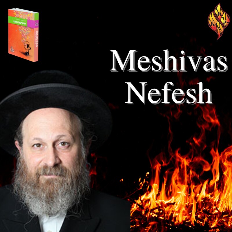 Artwork for podcast Recent Shiurim - Aish Kodesh