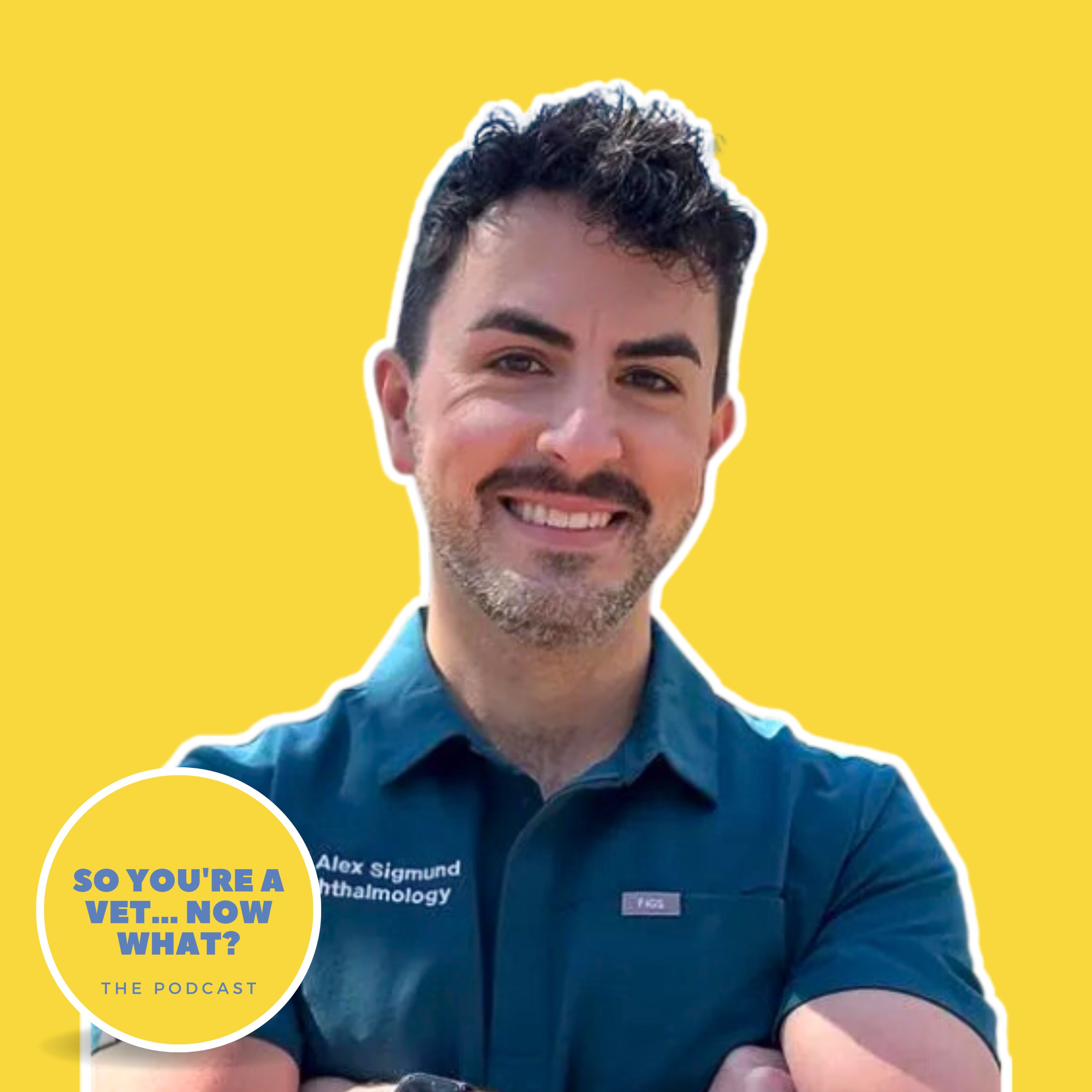 The \'So You\'re A Vet... Now What?\' Podcast