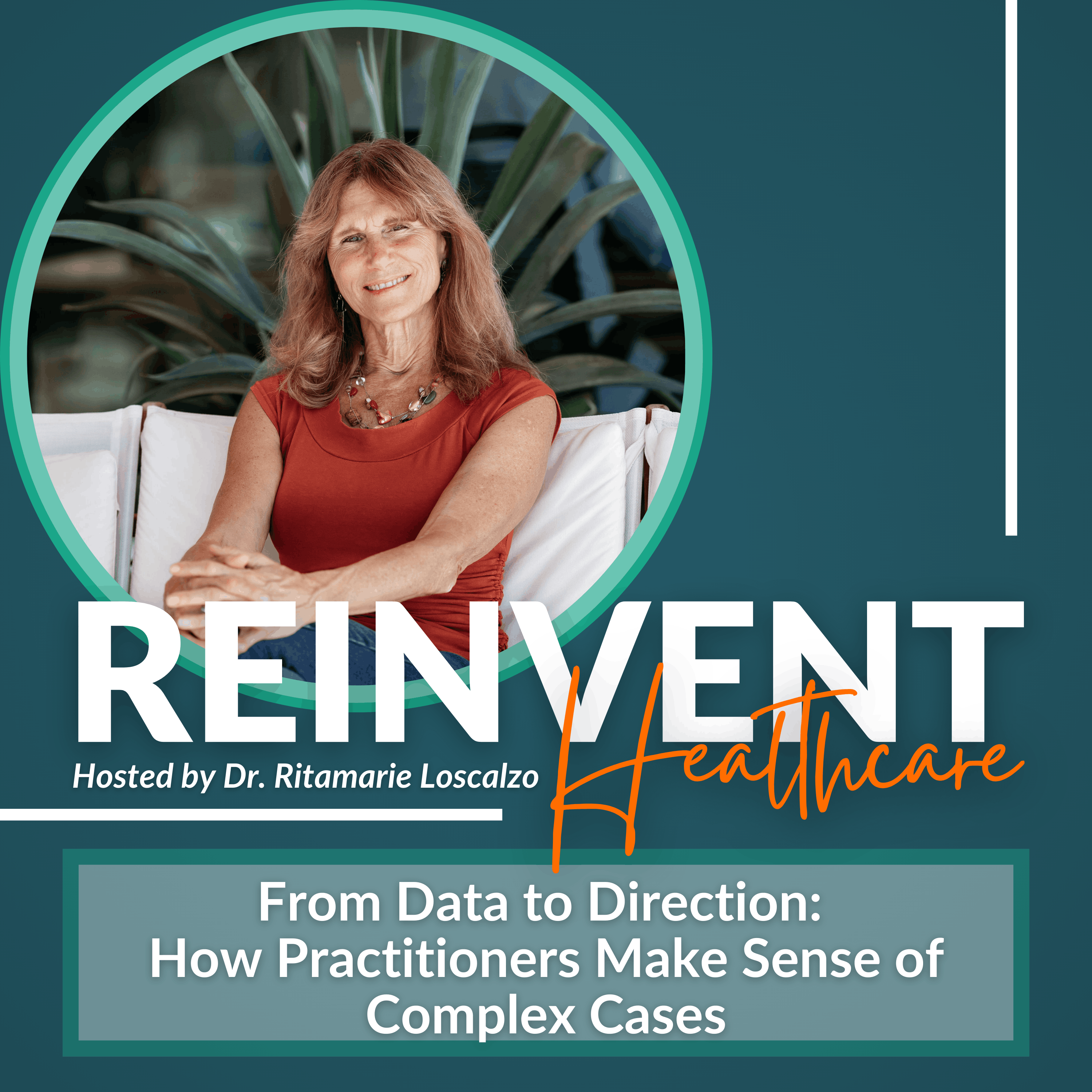 From Data to Direction: How Practitioners Make Sense of Complex Cases