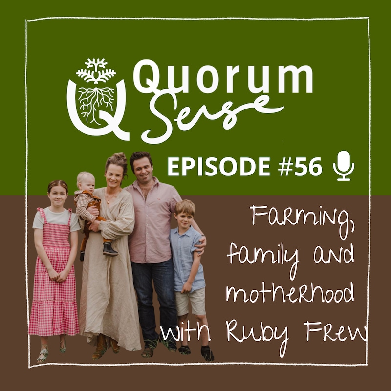 Artwork for podcast The Quorum Sense Podcast