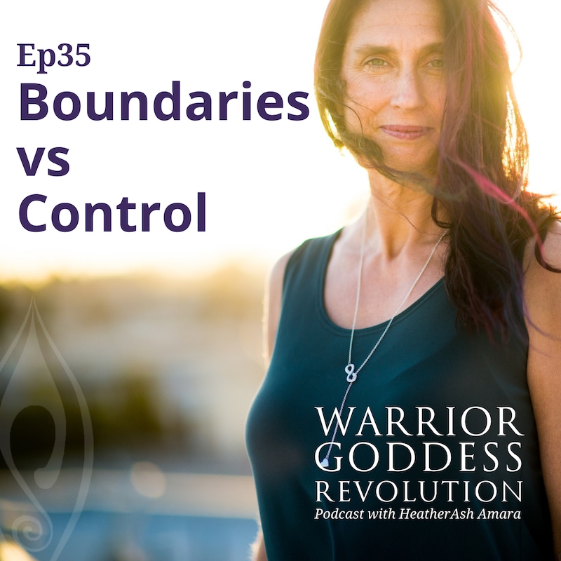 Artwork for podcast Warrior Goddess Revolution