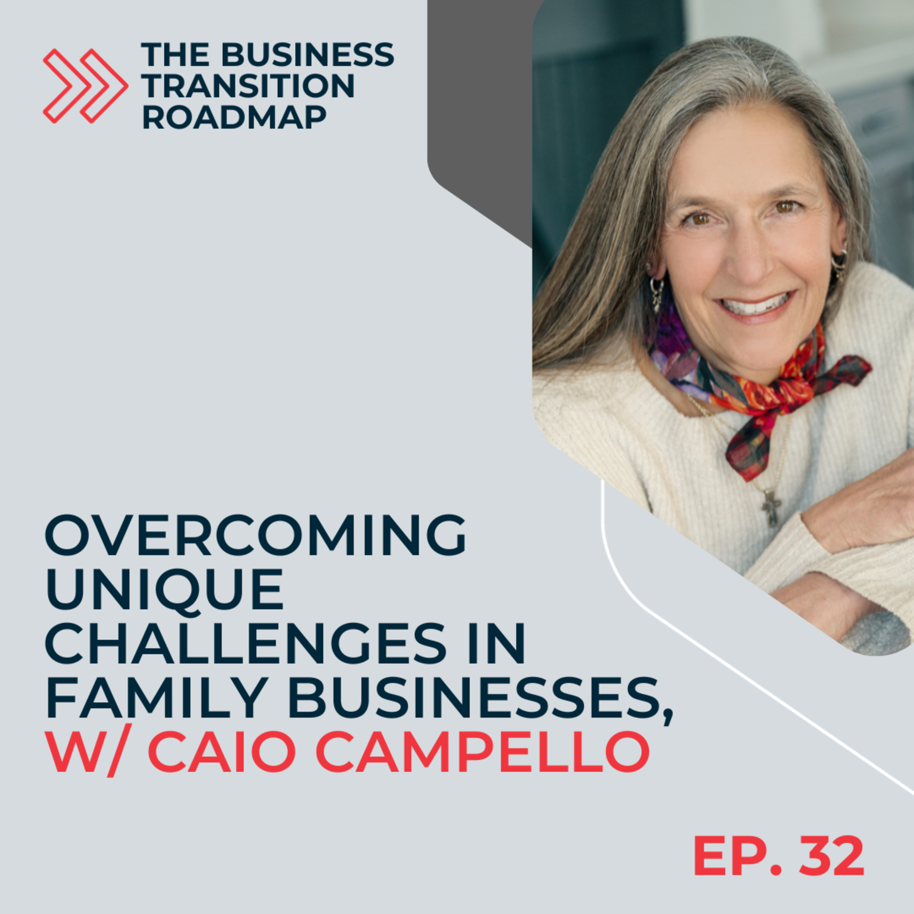 Business Transition Roadmap with Elizabeth Ledoux