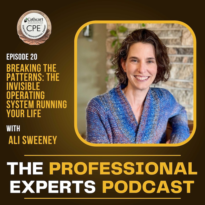 Artwork for podcast The Professional Experts Podcast