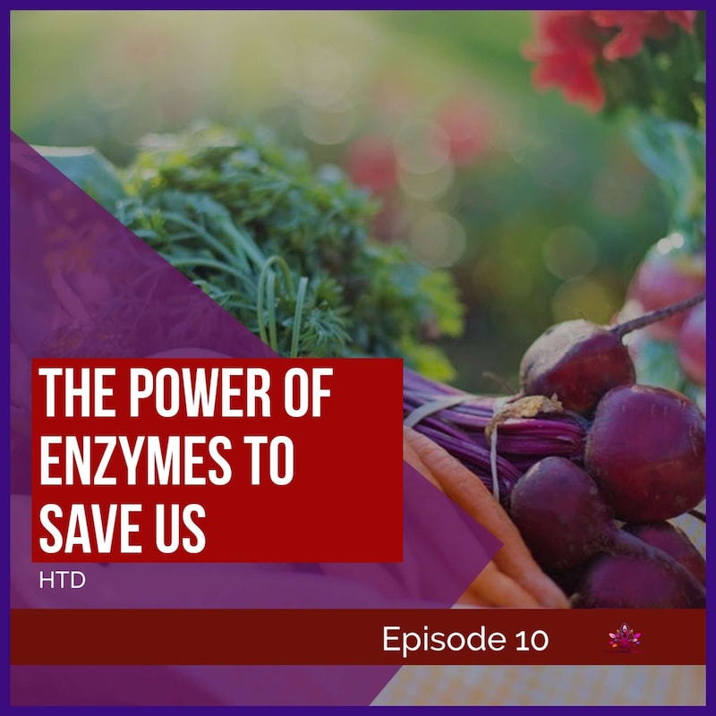 Artwork for podcast Optimizing Human Potential