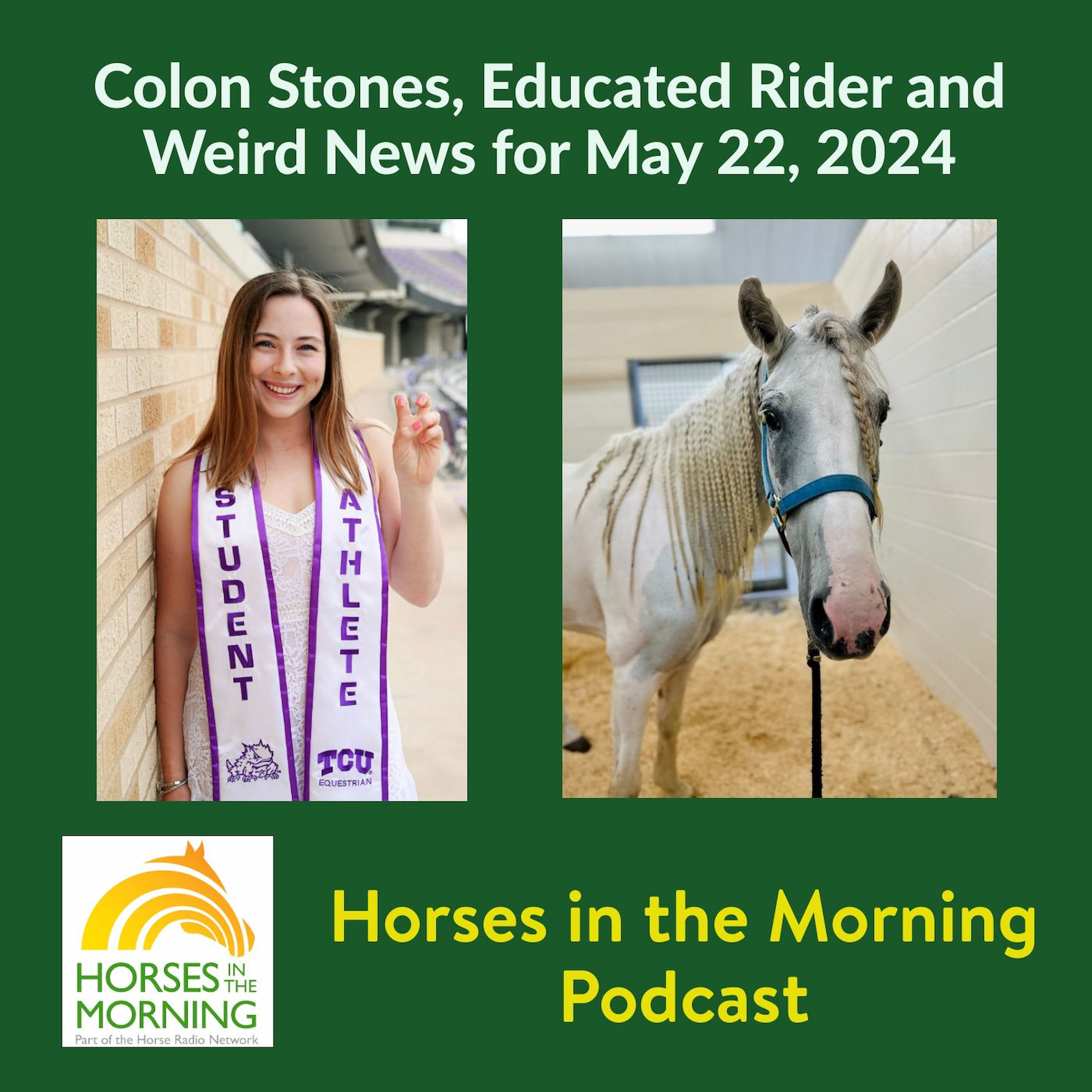 HRN Auditor Podcast