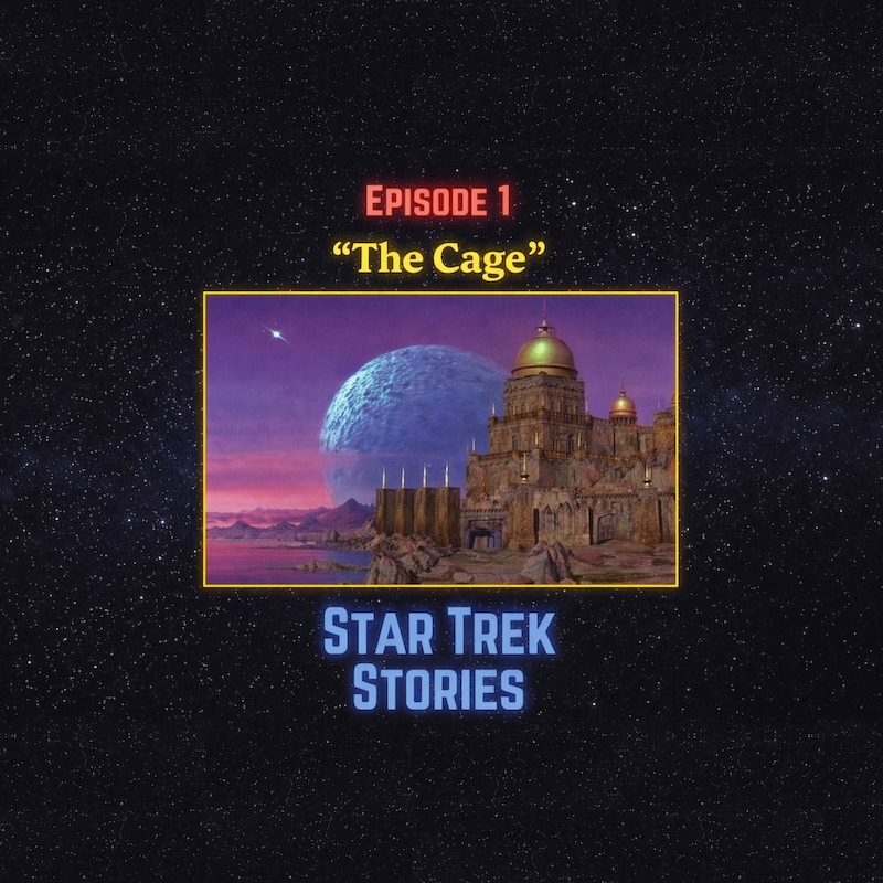 Artwork for podcast Star Trek Stories