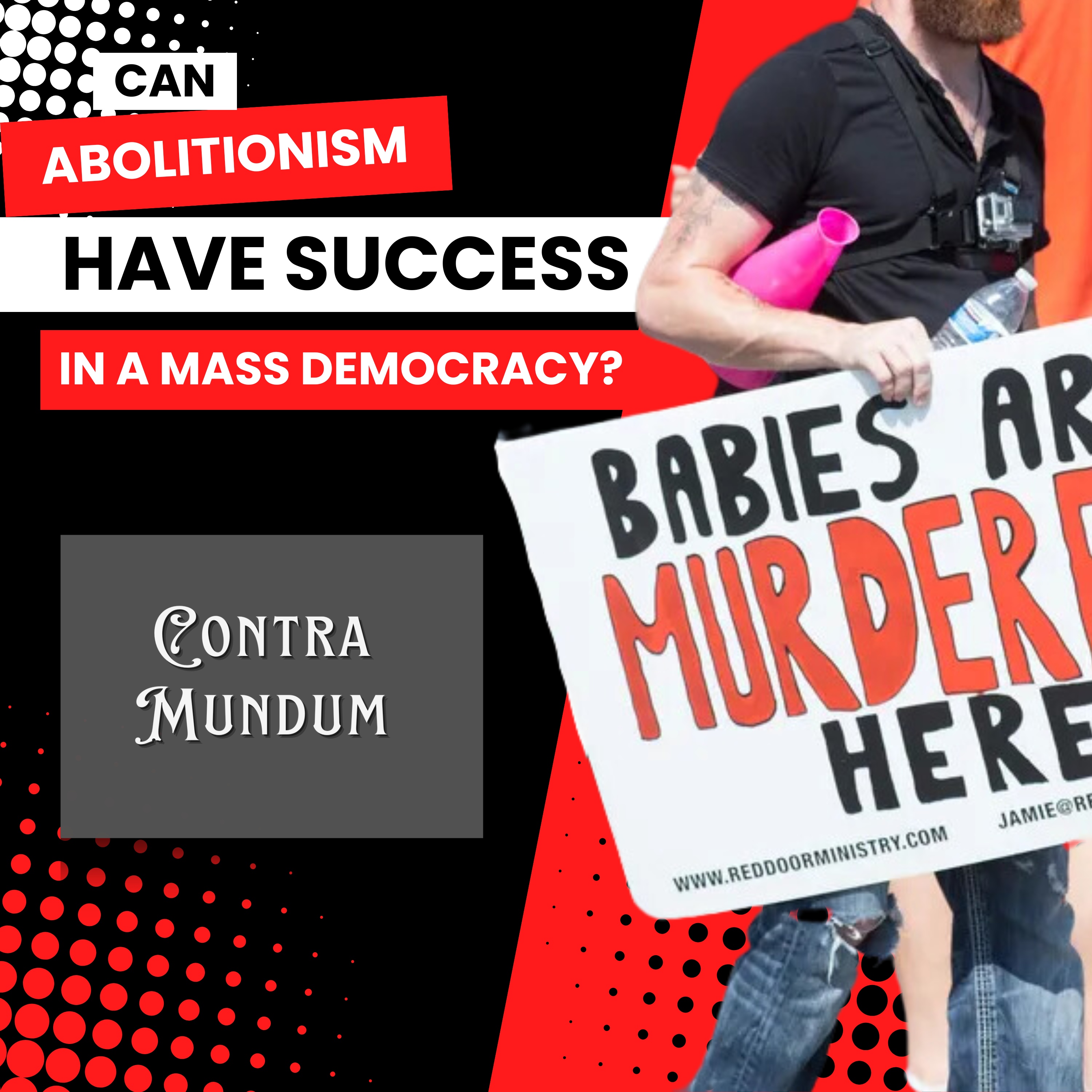 Can ABOLITIONISM Have Success In A Mass Democracy?