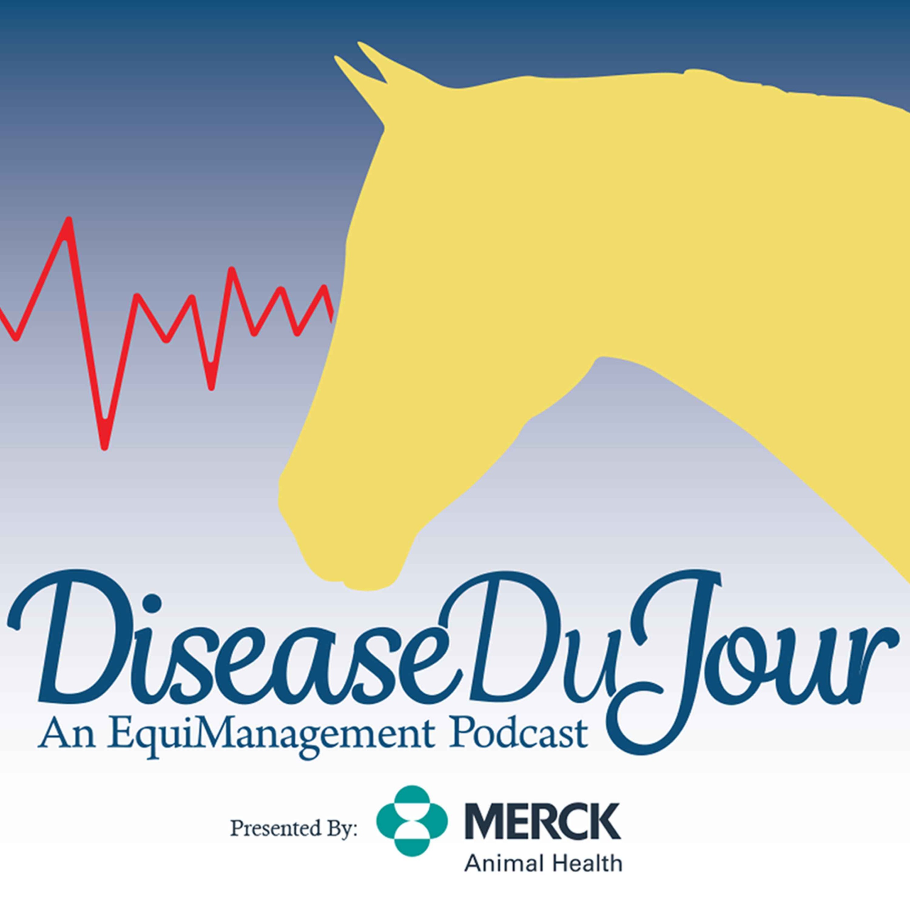 Ep. 117: Feeding the Thin or Rescued Horse