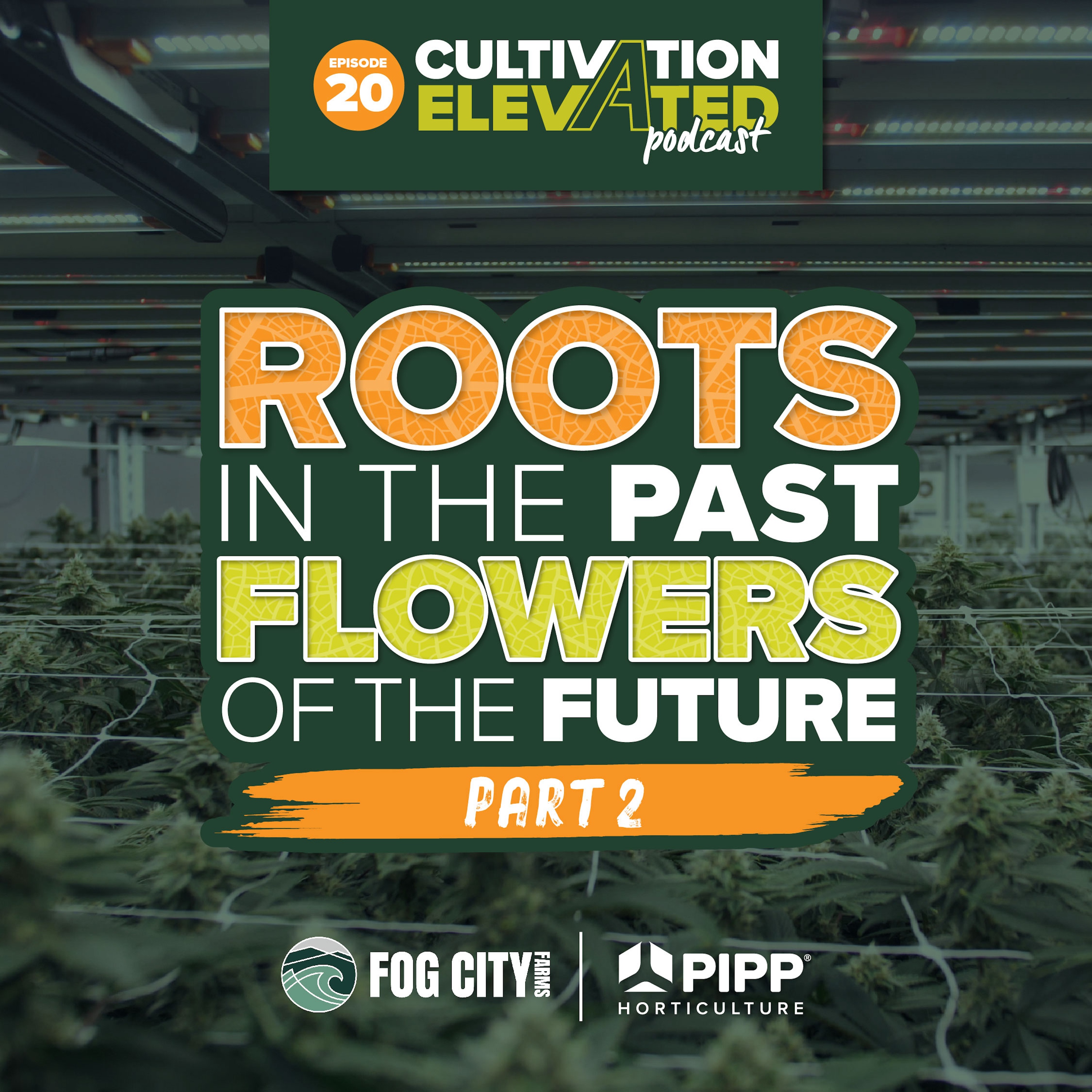 Cultivation Elevated - Indoor Farming, Cannabis Growers & Cultivators - Pipp Horticulture