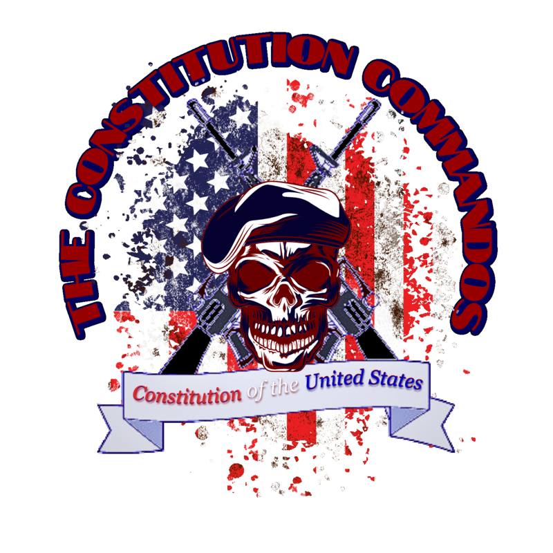 Artwork for podcast The Constitution Commandos