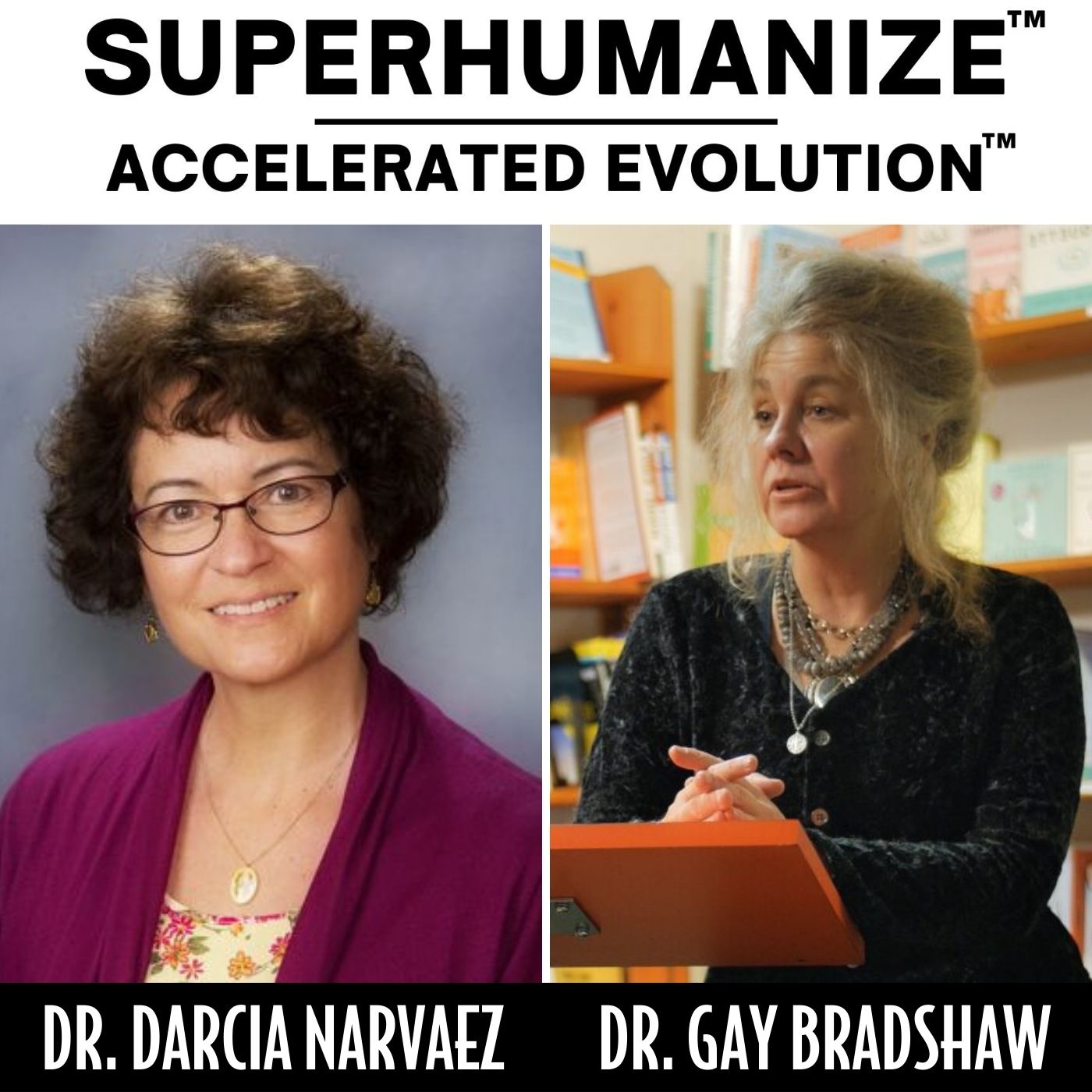 The Superhumanize Podcast