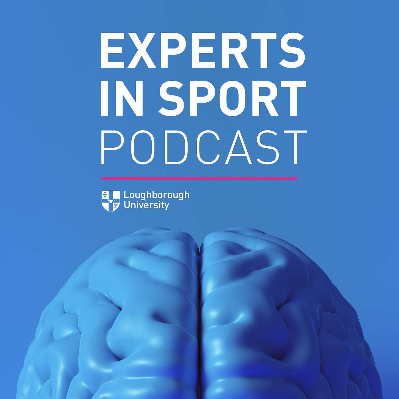 Experts in Sport