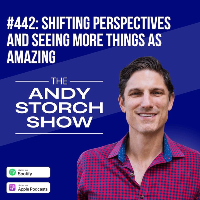 Artwork for podcast The Andy Storch Show (Own Your Career Own Your Life)