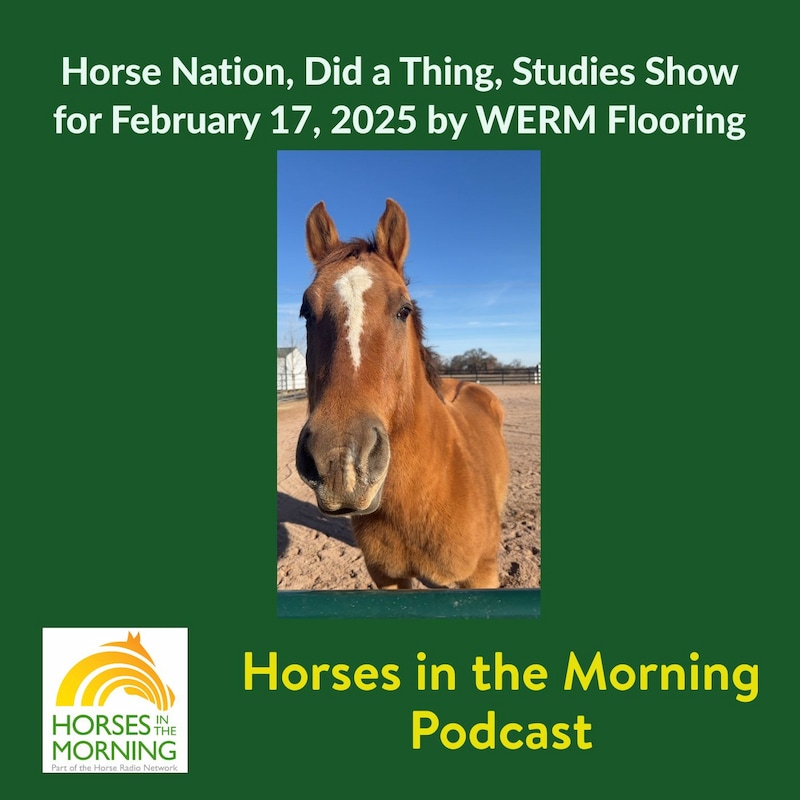 Artwork for podcast Horses in the Morning