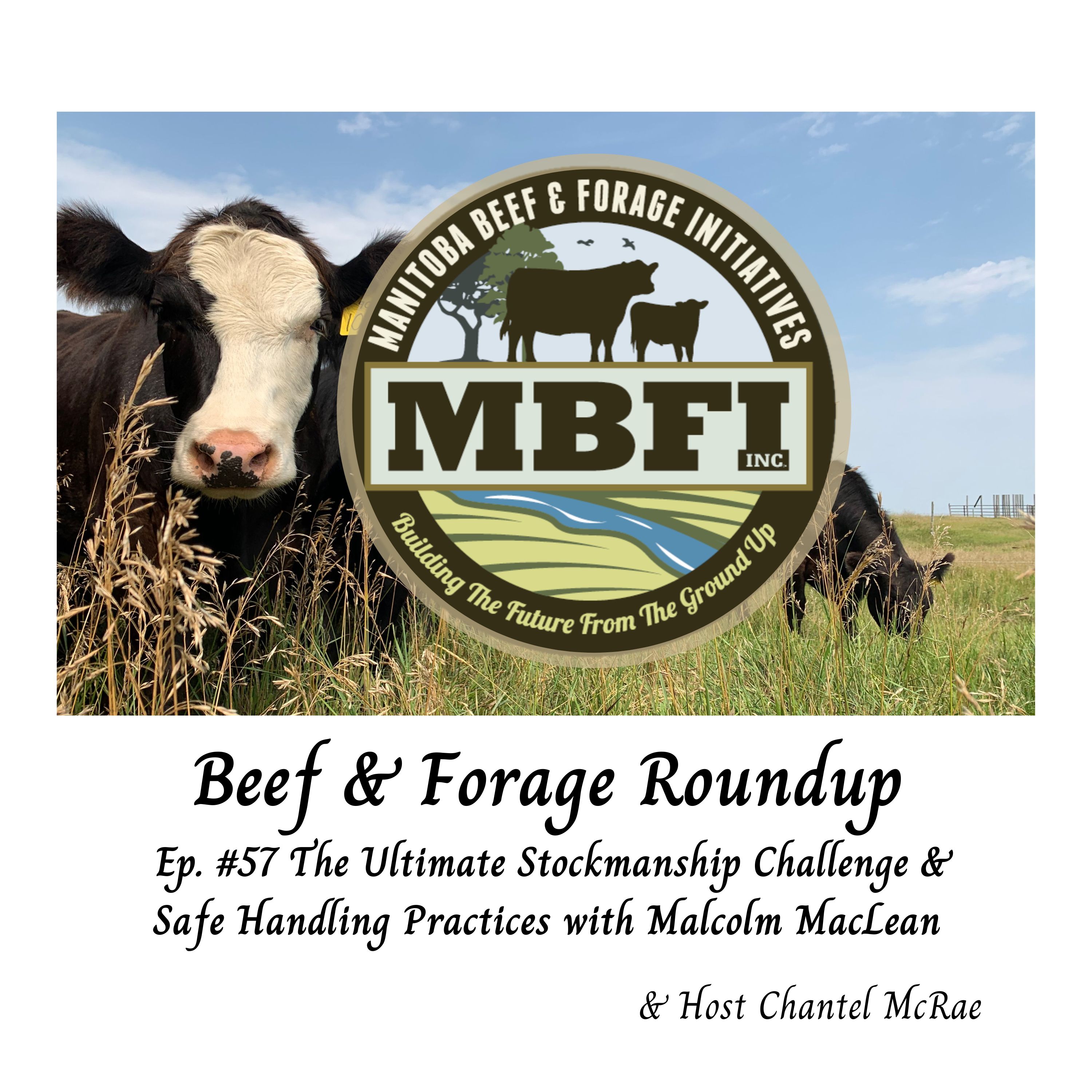 Beef and Forage Roundup