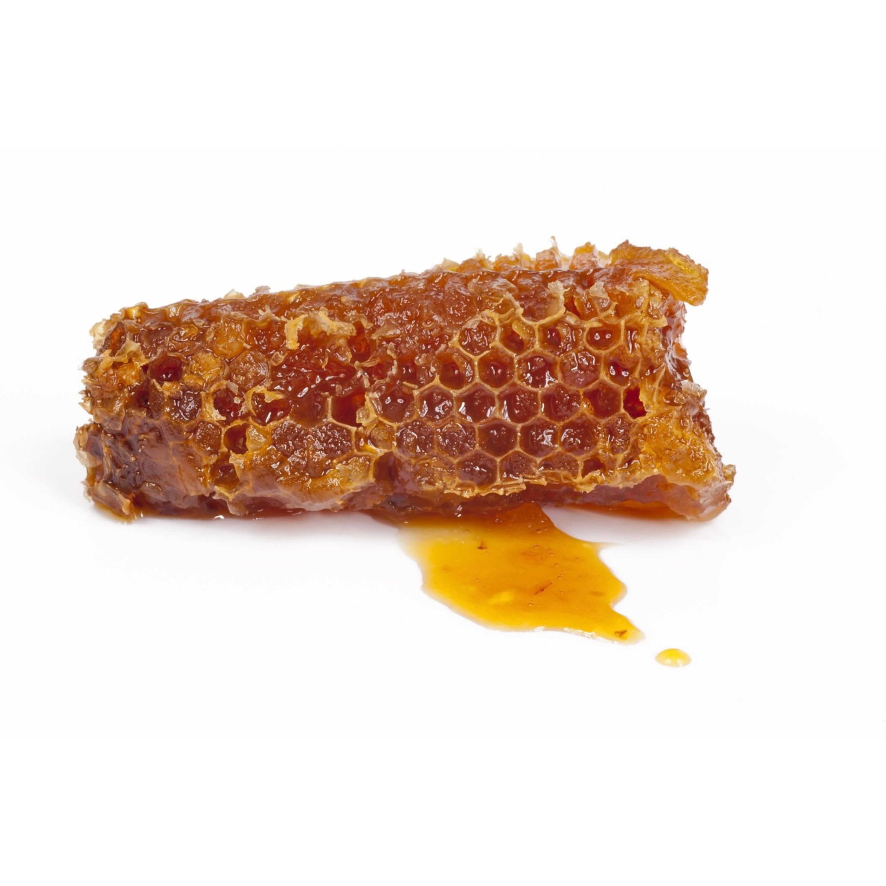 39. Hope as Sweet as Honey: A Saviour Who Won't Let You Down