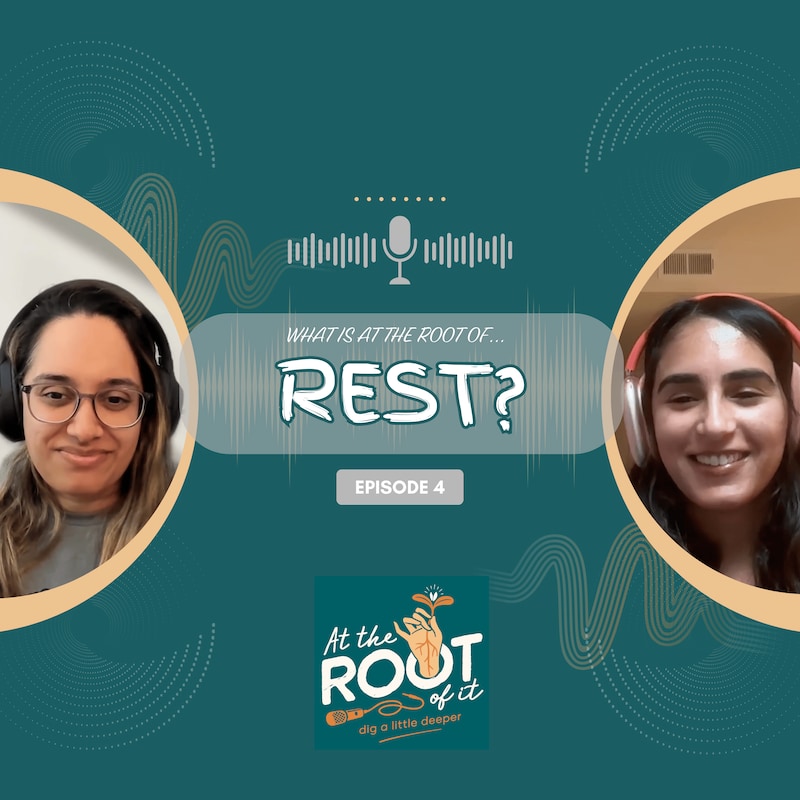 Artwork for podcast At The Root Of It