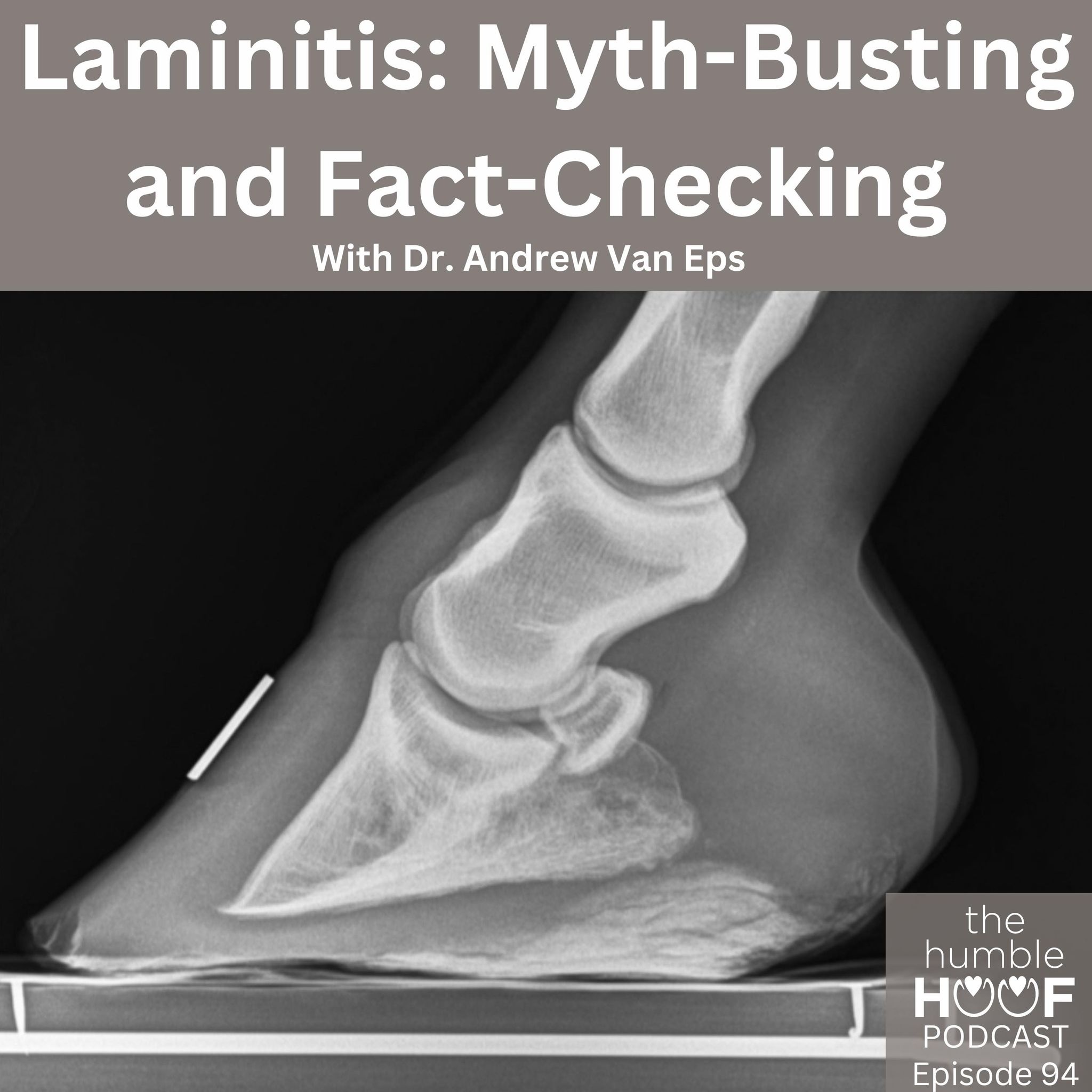 Laminitis: Myth-Busting and Fact-Checking with Dr. Andrew Van Eps, by Equithrive