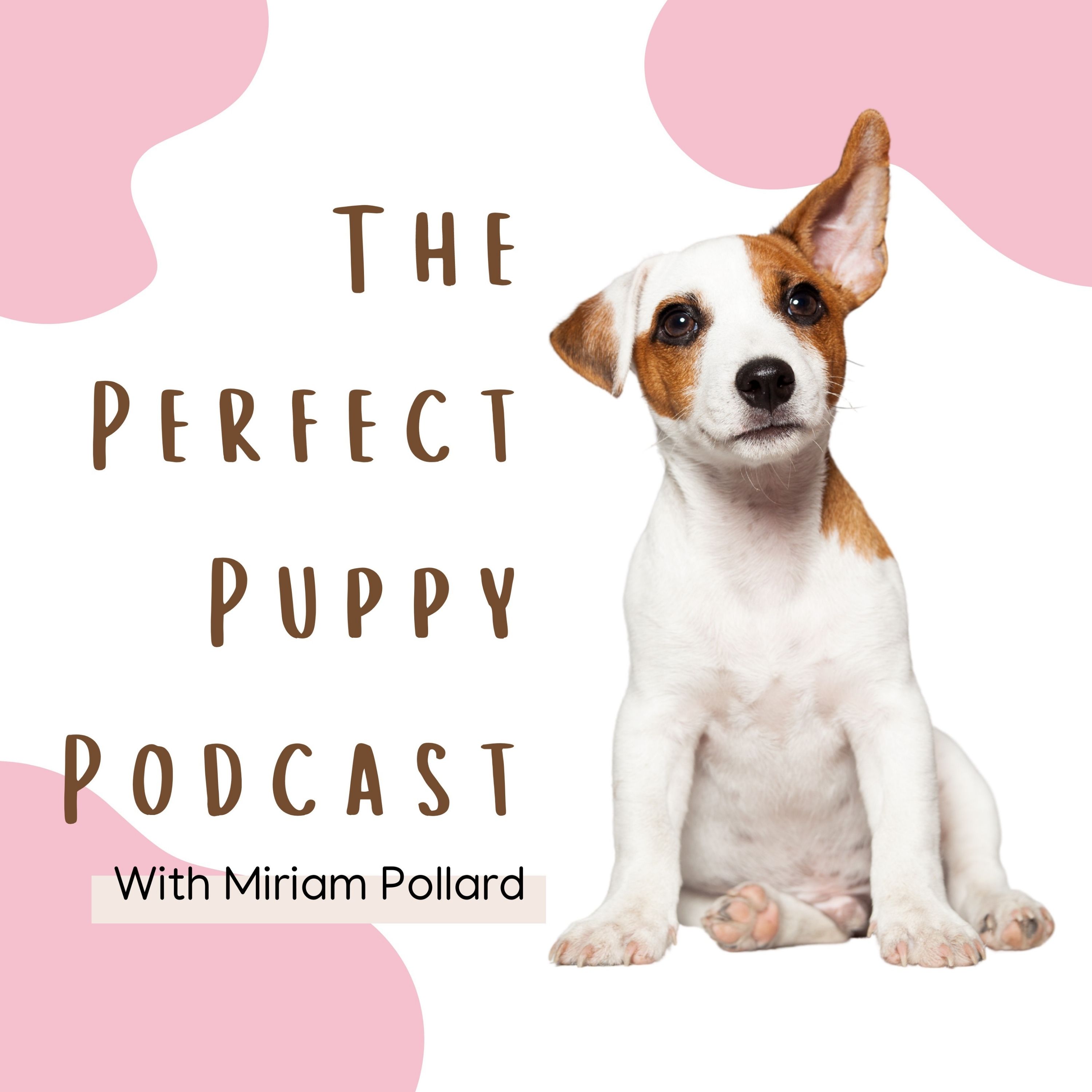 Show artwork for The Perfect Puppy Podcast