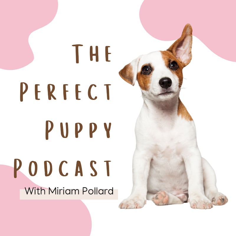 Artwork for podcast The Perfect Puppy Podcast