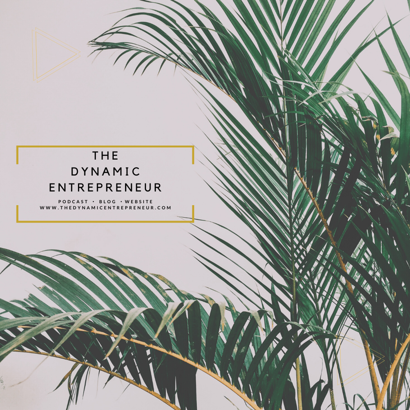 The Dynamic Entrepreneur Podcast