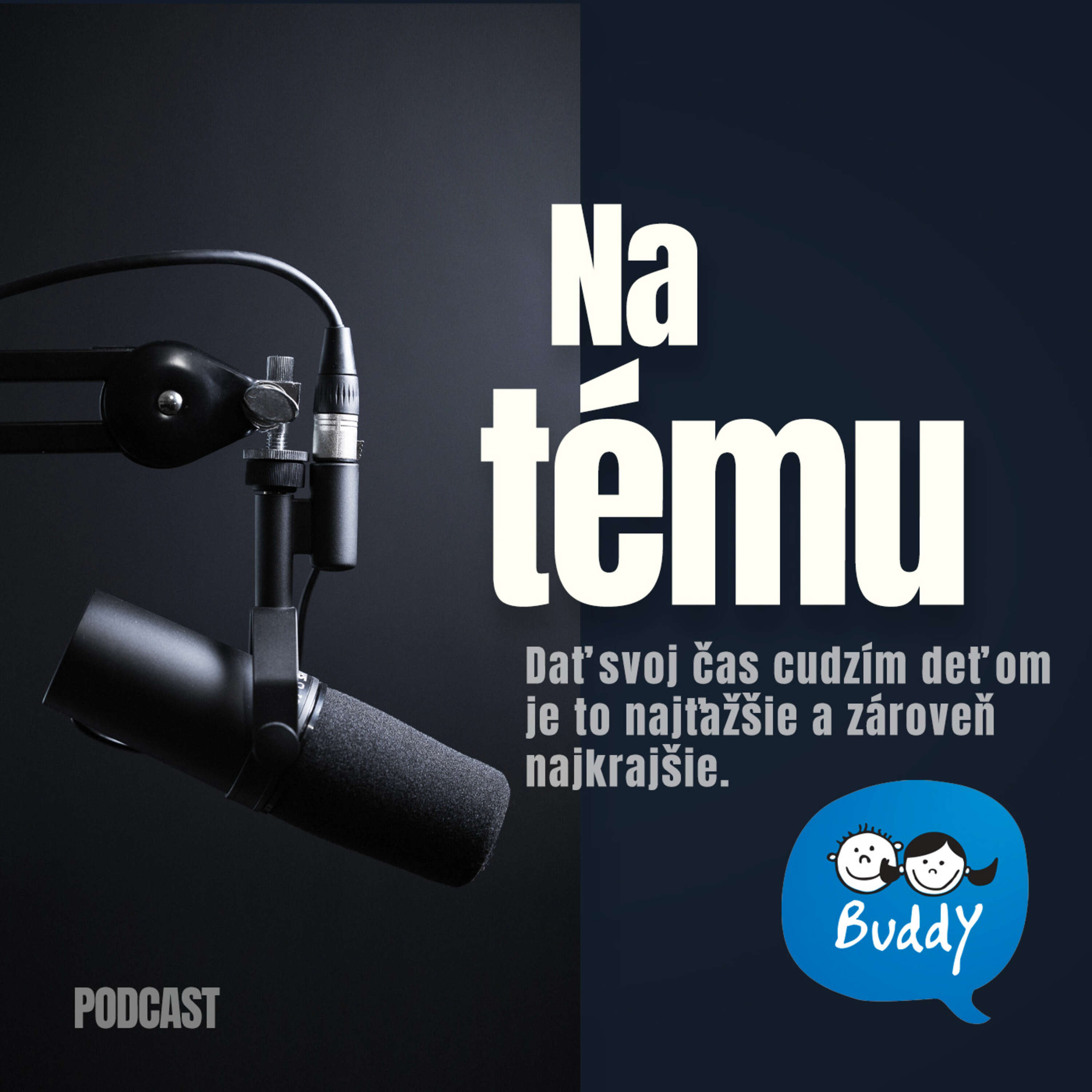 Na tému: Dať svoj čas cudzím deťom je to najťažšie a zároveň najkrajšie. Zvládli by ste to čo oni? episode artwork
