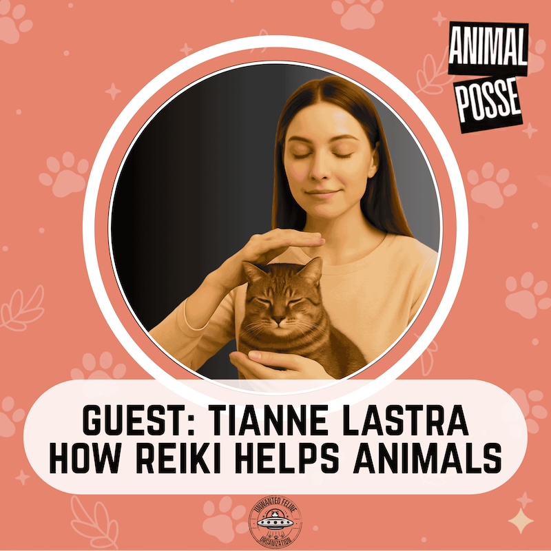 Artwork for podcast Animal Posse