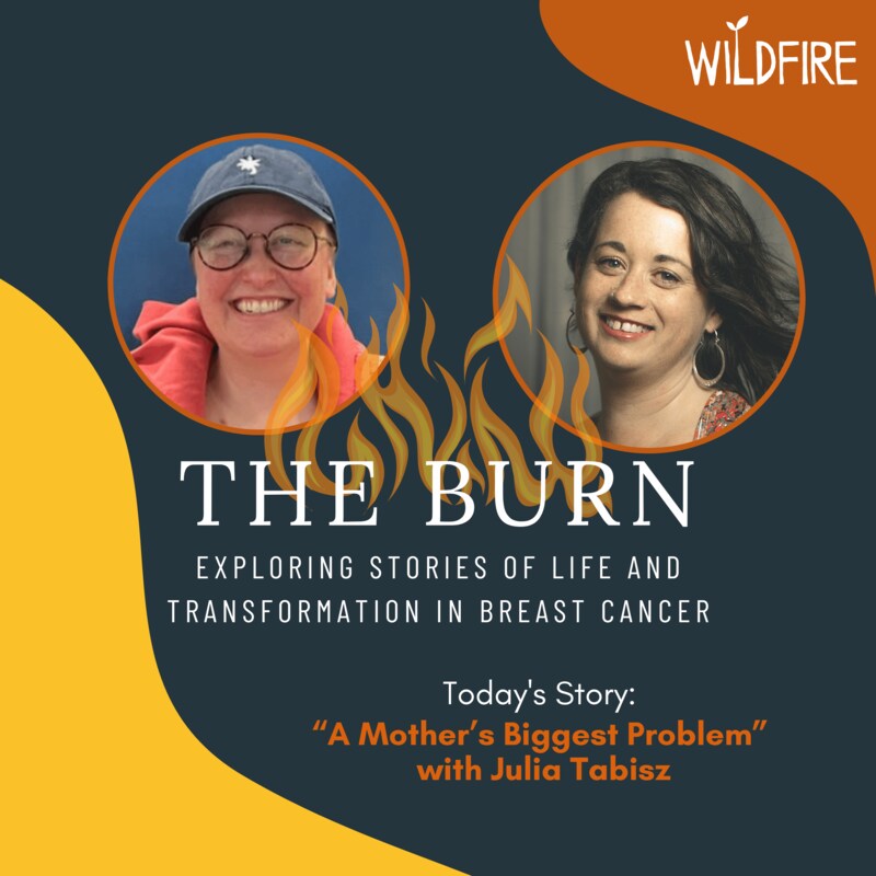 Artwork for podcast The Burn