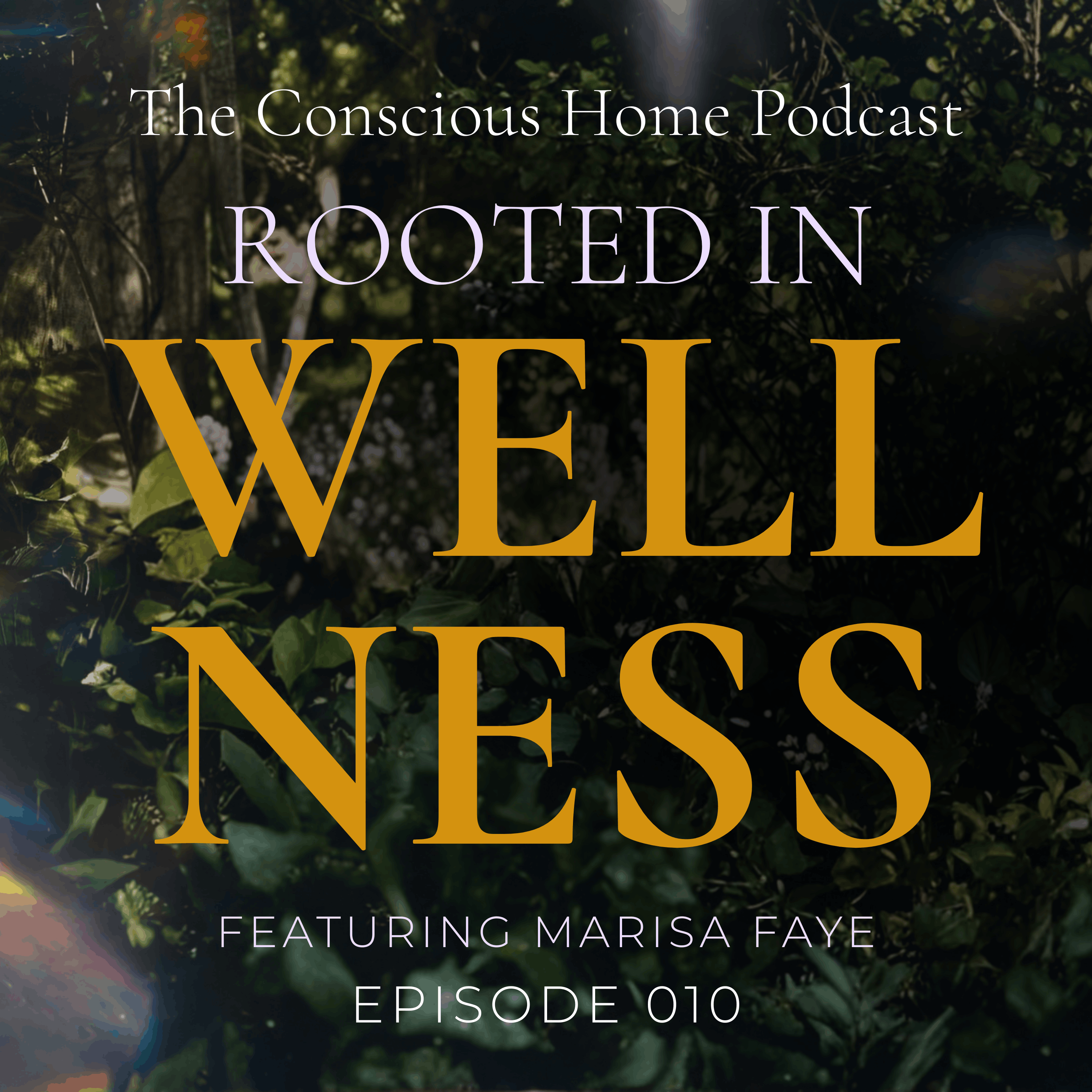 Rooted in Wellness: Healing Hormones, Energy, and the Feminine Body with Marisa Faye episode artwork