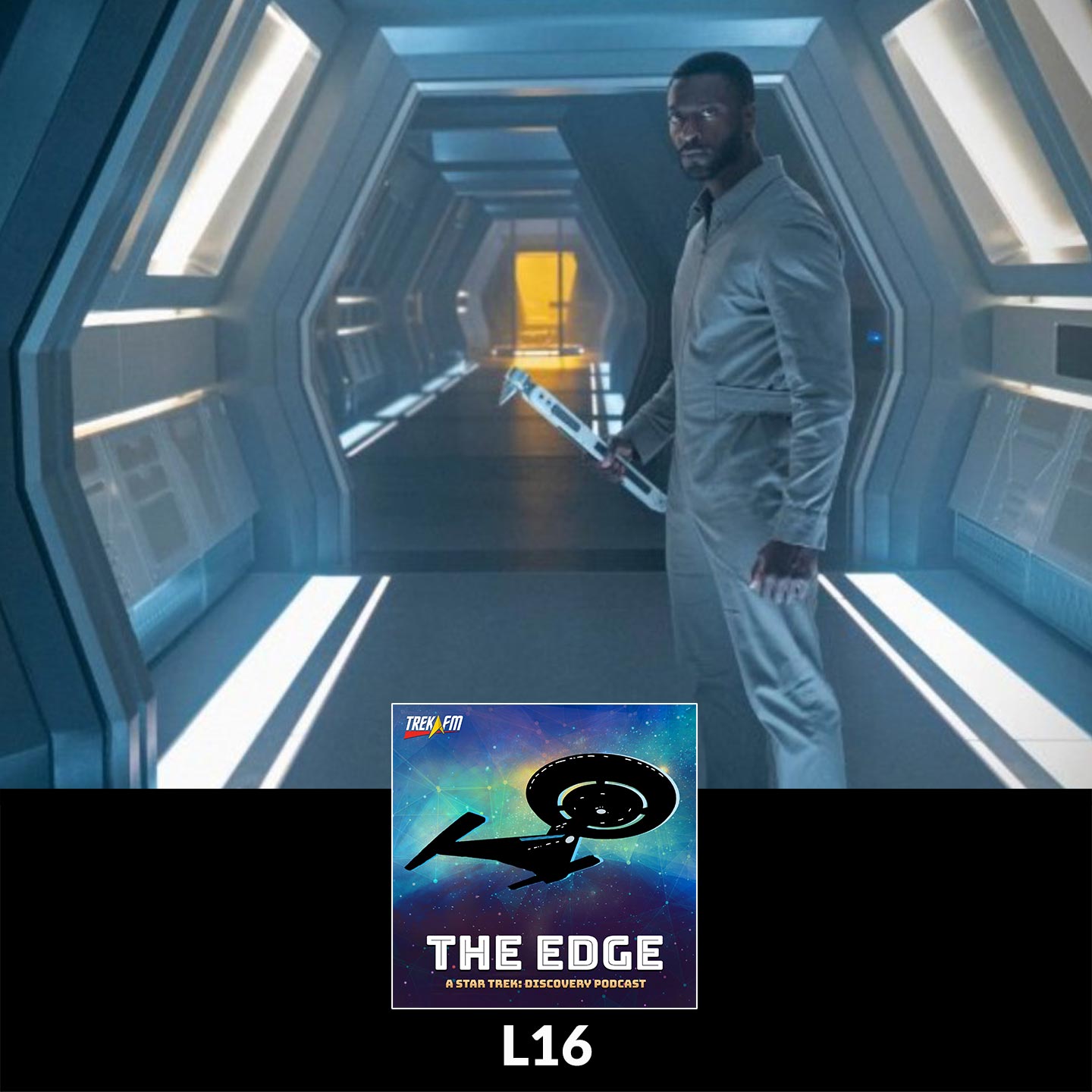 L16: Calypso (Live Show)