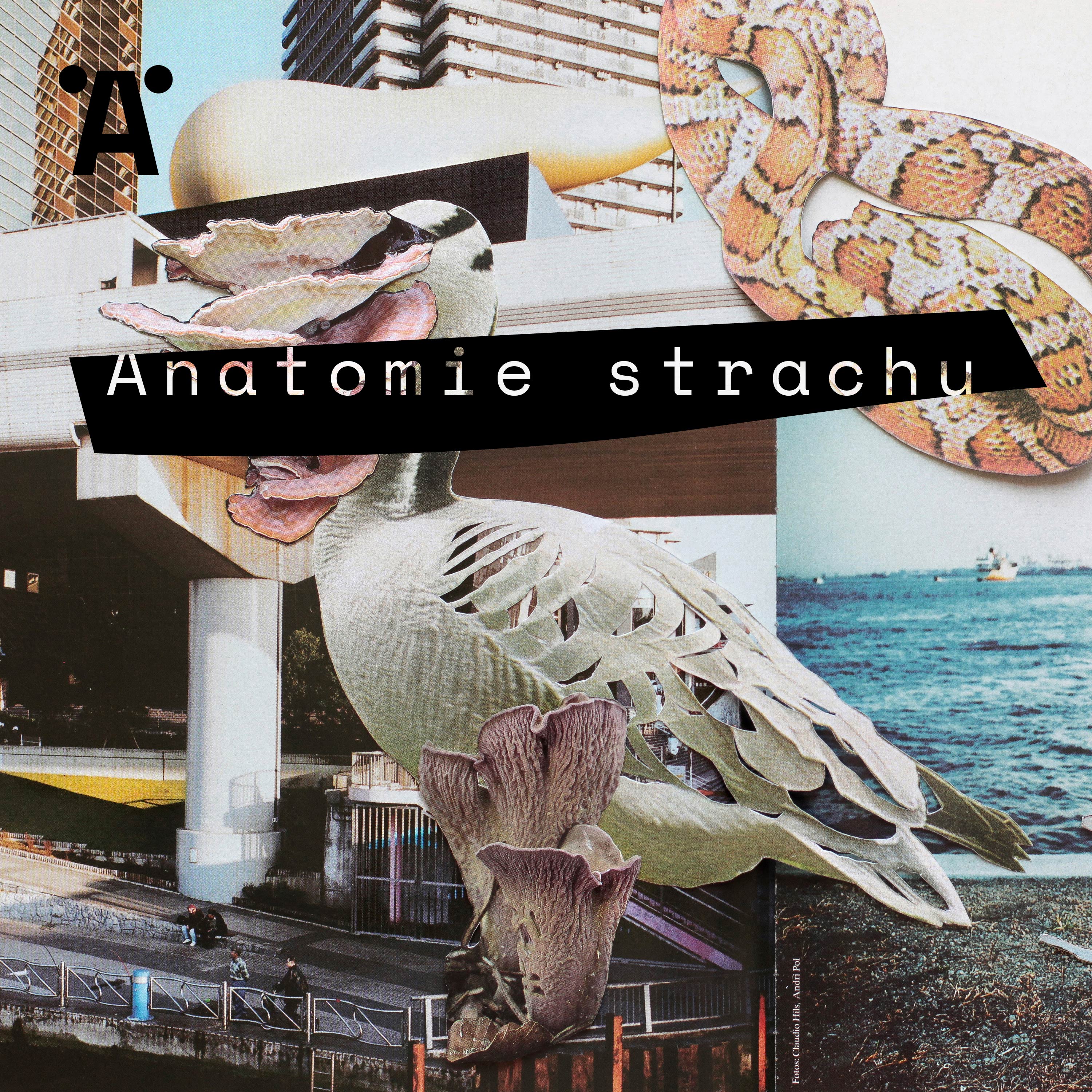 Artwork for podcast Anatomie strachu