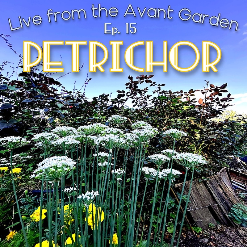 Artwork for podcast Live from the Avant Garden