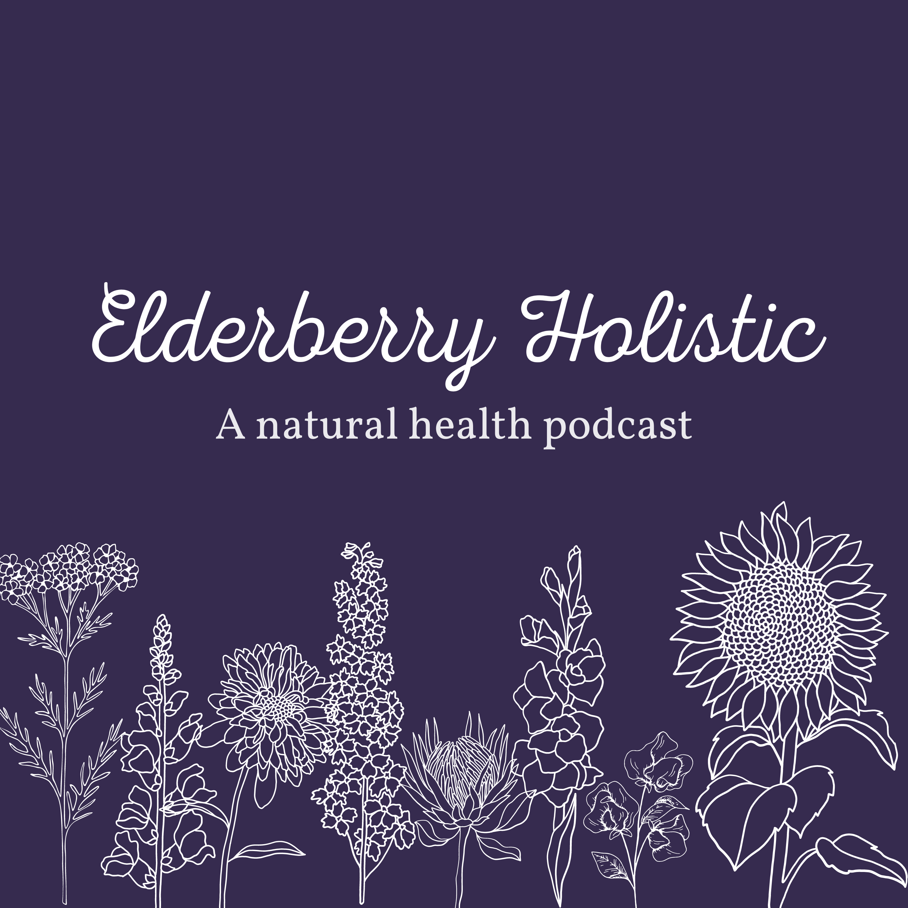Show artwork for Elderberry Holistic Health