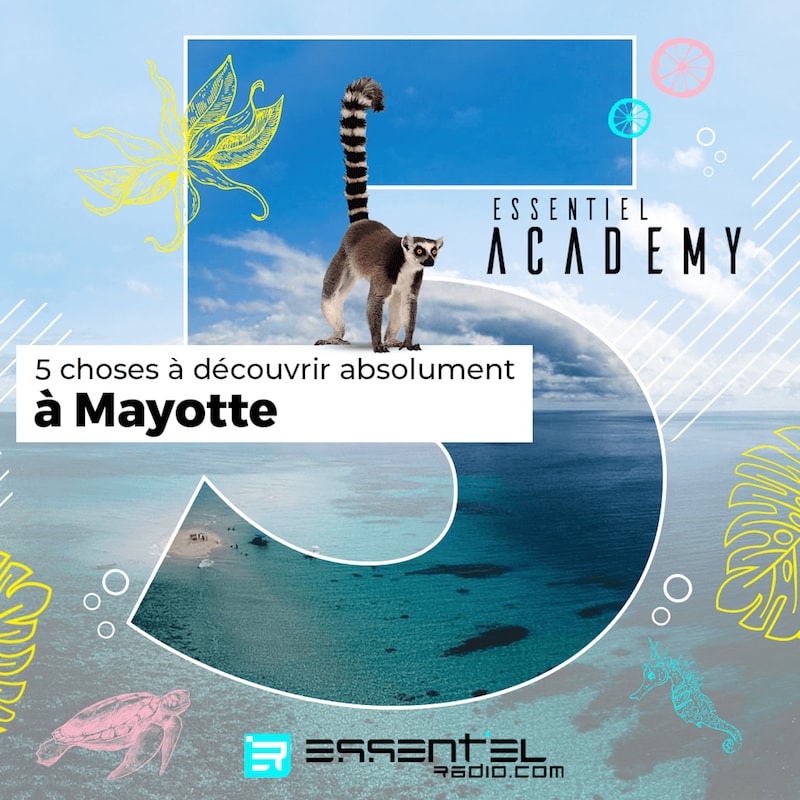 Artwork for podcast ESSENTIEL academy