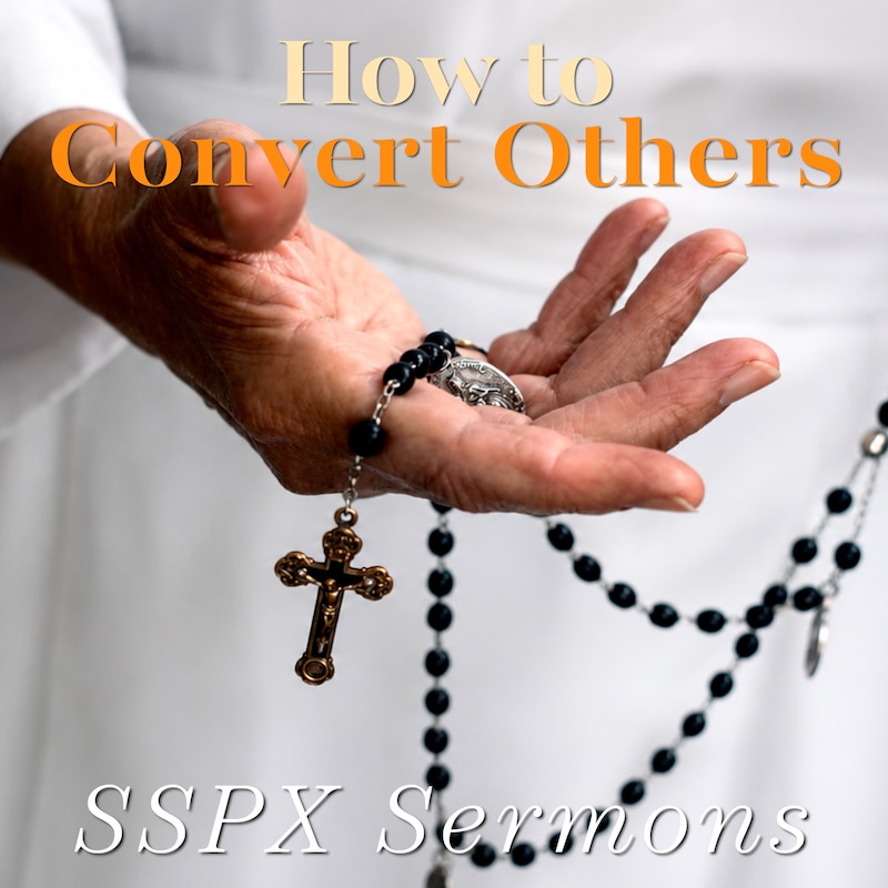 Artwork for podcast SSPX Sermons