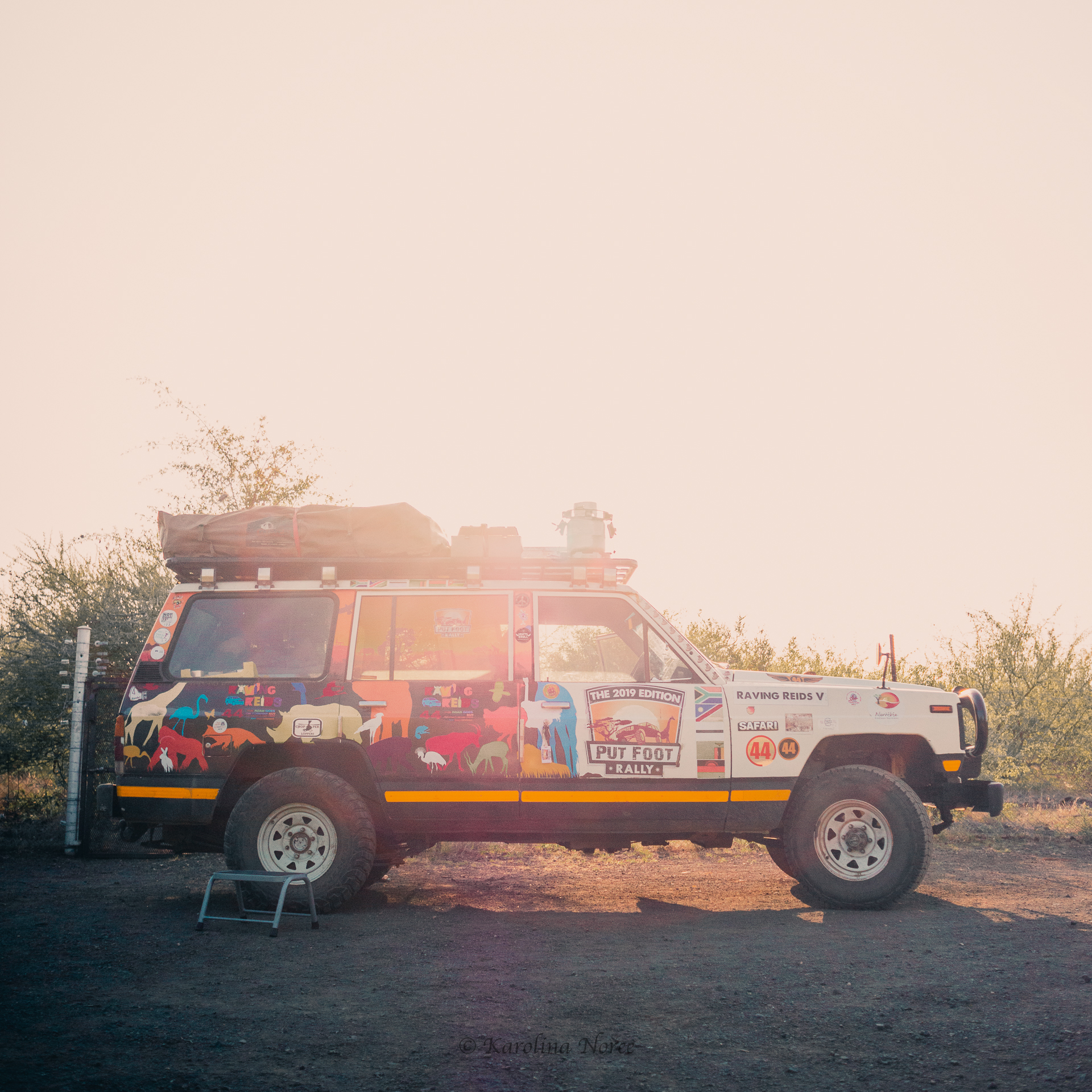 Wildest Kruger Stories