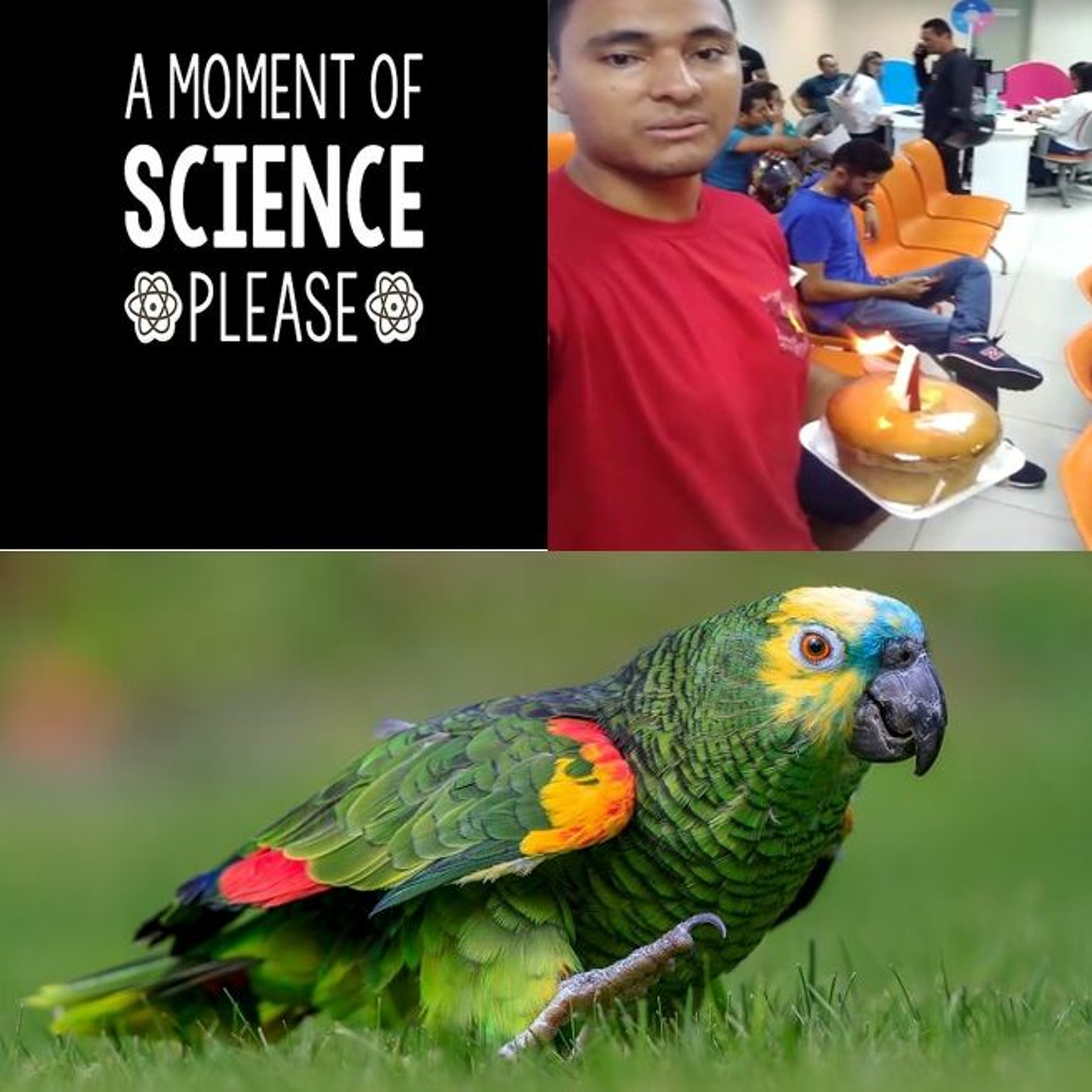 23 - sarapatel