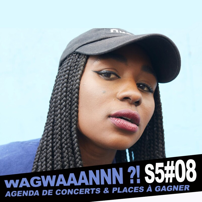 Artwork for podcast WAGWAAANNN ?!