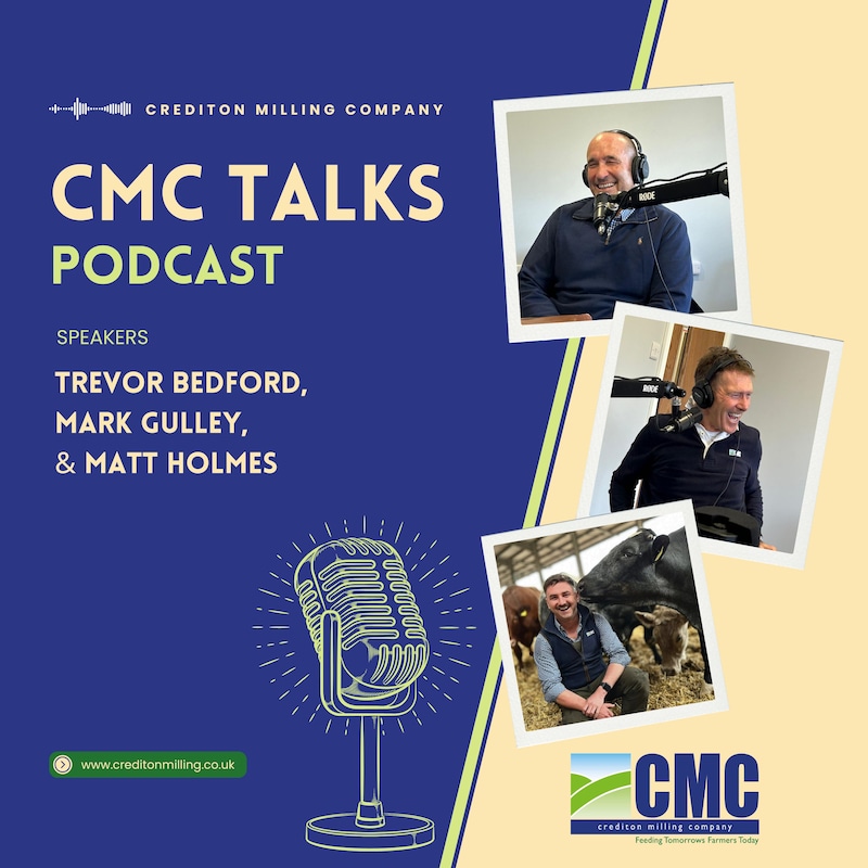 Artwork for podcast CMC Talks