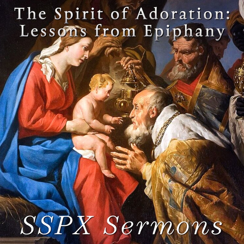Artwork for podcast SSPX Sermons