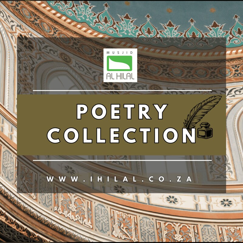 Artwork for podcast Miscellaneous