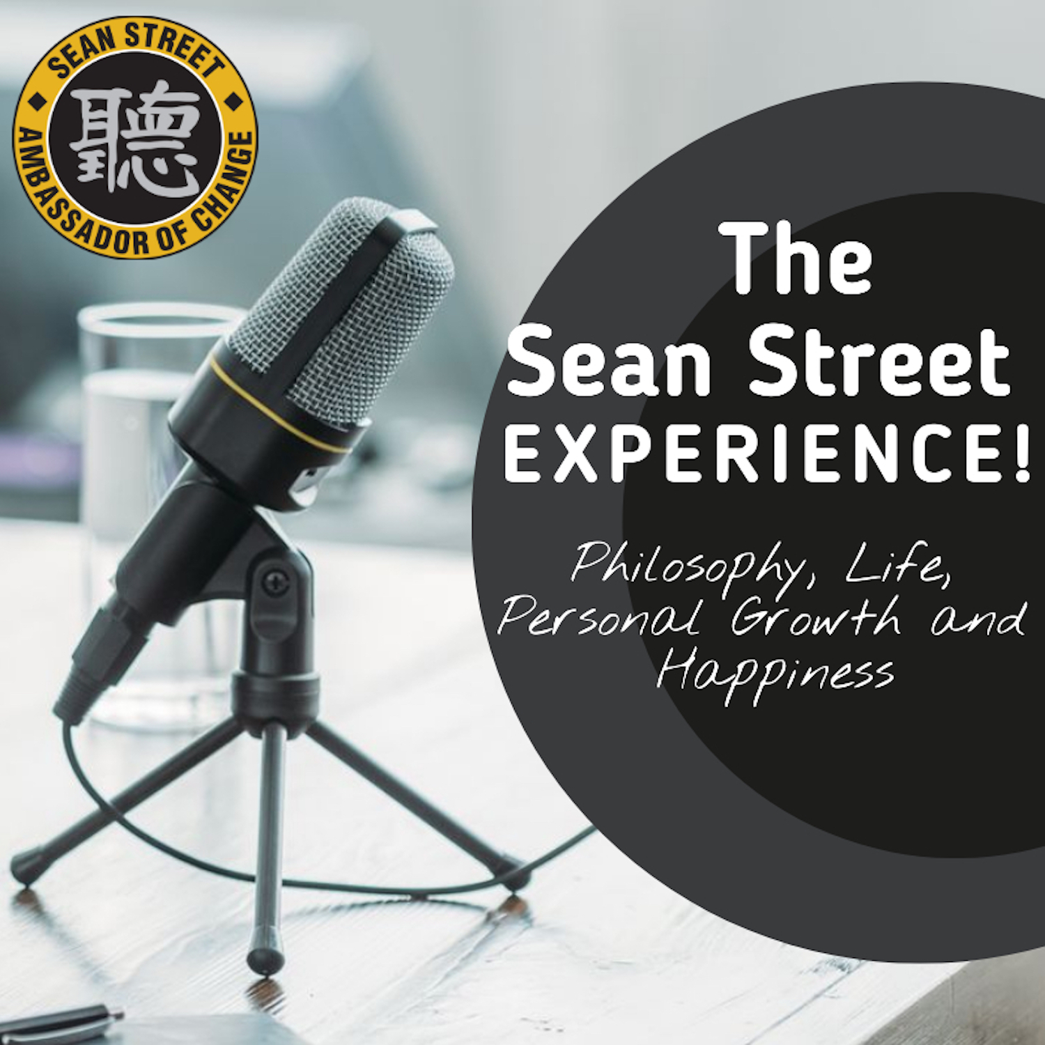 Artwork for podcast The Sean Street Experience